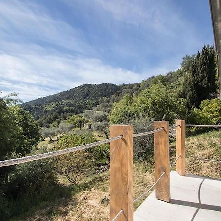 Bas De Villa Au Milieu Des Oliviers. Chateauneuf-Villevieille Zewnętrze zdjęcie